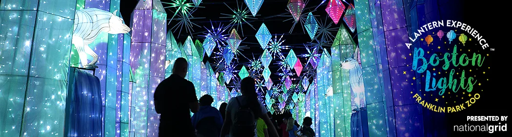 Guests walking beneath colorful illuminated lanterns in the mystical tunnel at Boston Lights