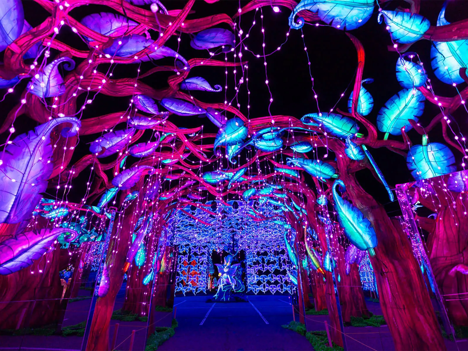 A glowing tunnel of blue and purple butterfly lanterns at China Lights Wisconsin