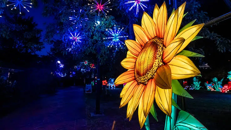 A giant illuminated sunflower and colorful tree lanterns at GloWild in Little Rock
