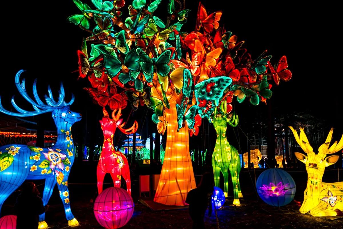 Illuminated deer and a butterfly-covered tree at the 2019 North Carolina Chinese Lantern Festival in Cary