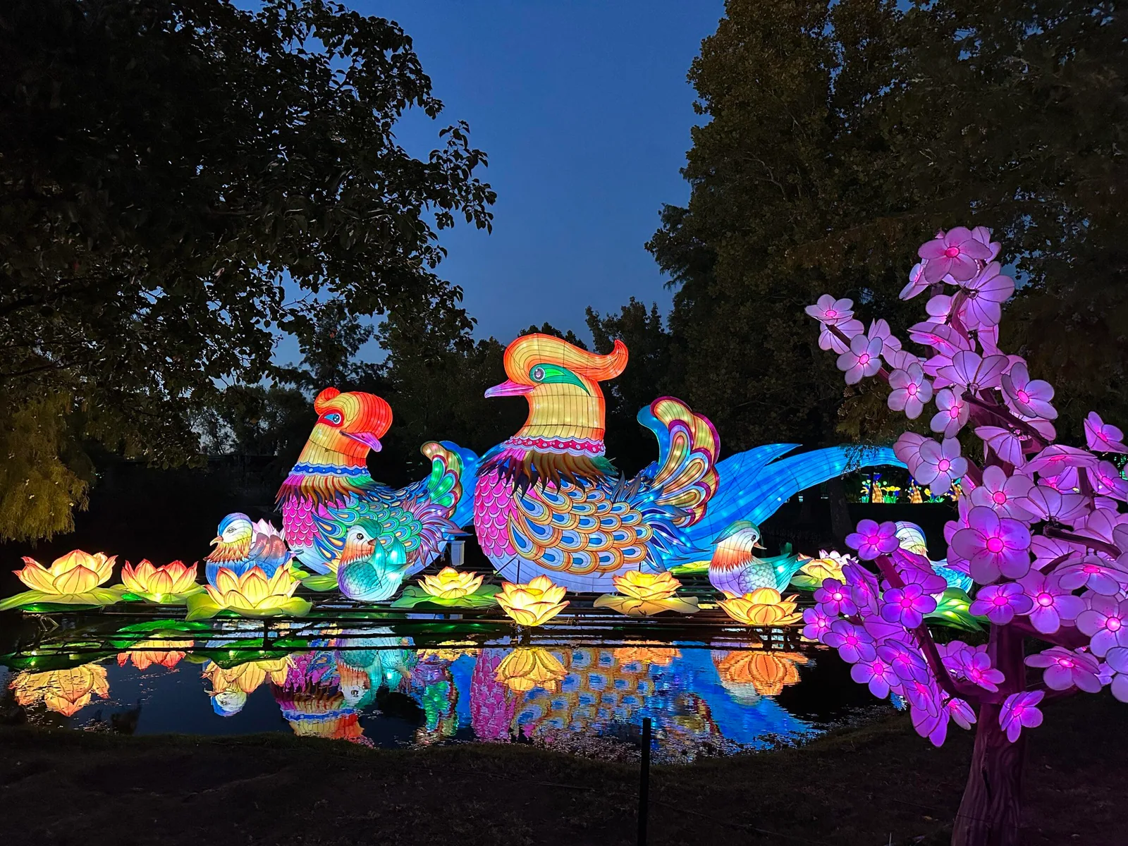 Colorful illuminated bird and flower lanterns at Wild Lights in Wichita